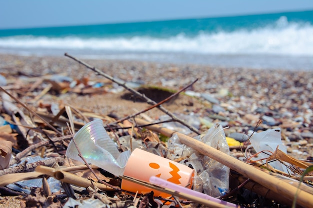 写真 海の人工ゴミ ペットボトル メガネなどのプラスチック