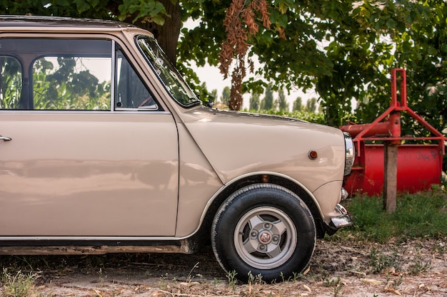 写真 ミニマイナー：典型的なイタリアの田舎の風景の中のいくつかの木陰に駐車された、完全に復元された小さなヴィンテージのサブコンパクトカー。