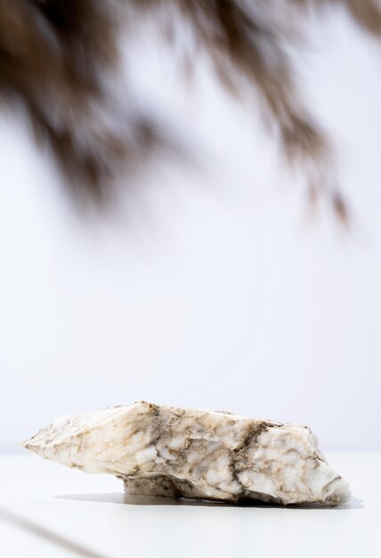 写真 白い背景の石の大理石のポディウムのミニマリストのシーン 自然化品のための乾燥した葉で 製品モックアップデザインのステージのショートケース