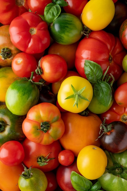 写真 熟した多色の有機トマトのミックス 健康的な食べ物