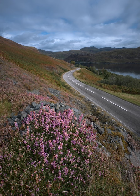 写真 スコットランドの高原の山道と前景スコットランドの赤い山の花