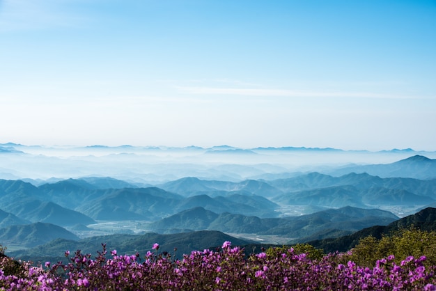 写真 雲だらけの山の風景