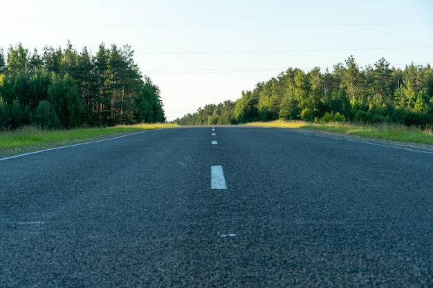 写真 森の中を通る新しい近代的なアスファルト道路 森の中の空の田舎道 貨物と旅客輸送のための高品質の条件