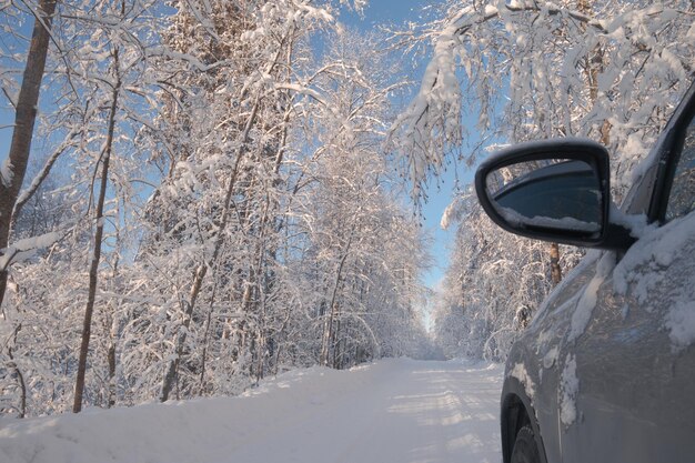 写真 雪に覆われた森の道の乗用車木は雪で覆われています