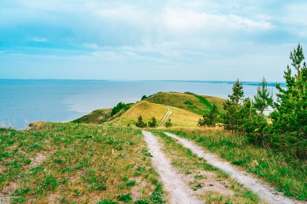 写真 緑の牧草地の真ん中にある小道楽しい夏の風景