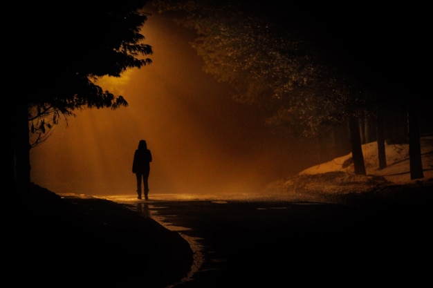 人は暖かい色で劇的な神秘的なシーンで霧の霧の道に歩きます