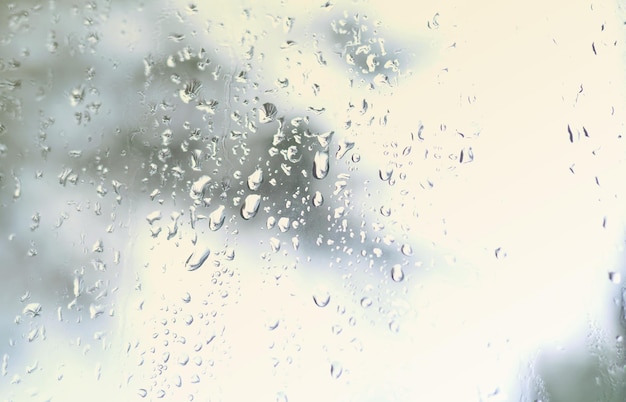 写真 ⁇ いている緑の木のぼんやりした景色で窓ガラスに降る雨の写真