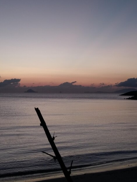 写真 夕日を背にした水中の柱