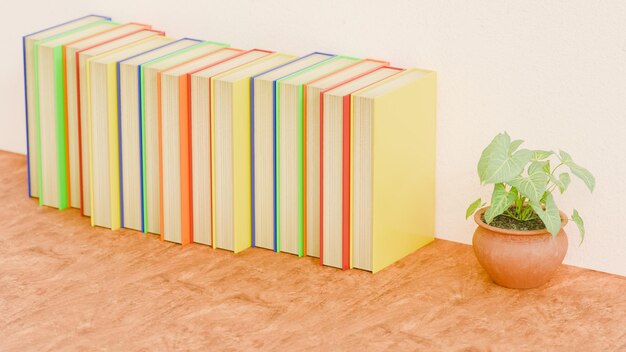 Фото Пот с небольшим растением рядом с пятнадцатью книгами разных цветов на деревянном столе с темой чтения