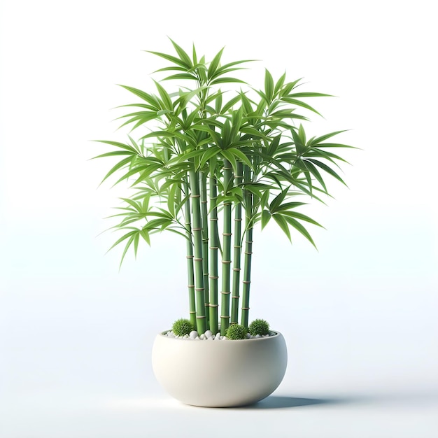 Фото Горшечное растение с белым фоном и зеленым растением в нем