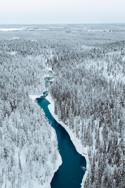 Фото Река зимой в национальном парке оуланка, финляндия