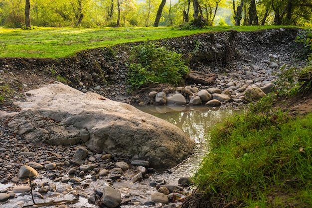 写真 前景に大きな岩があり、背景に緑の野原がある川。