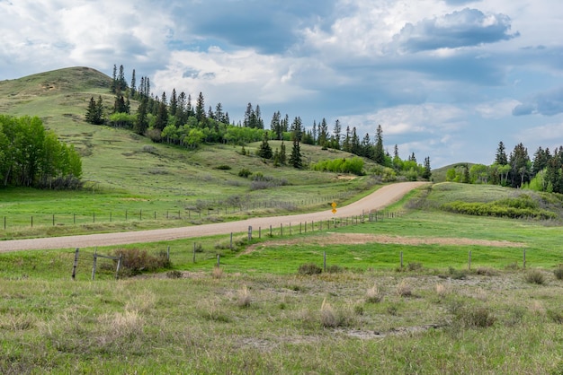 사진 cypress hills interprovincial park saskatchewan의 도로