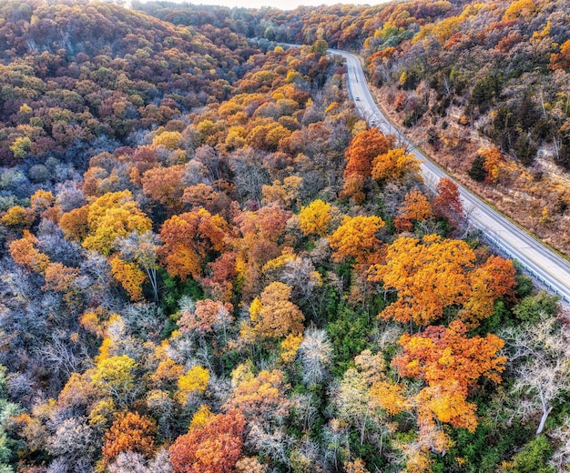 Фото Фотография дороги возле осенних деревьев