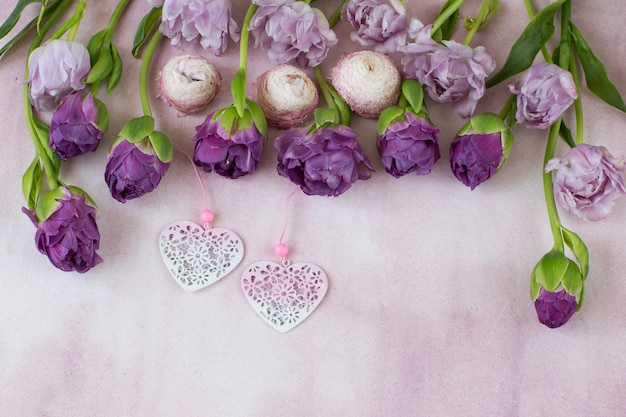 Подряд фиолетовые тюльпаны и два розовых сердца