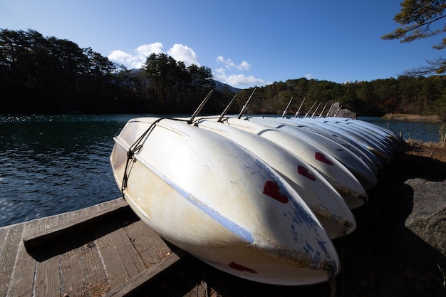 写真 一隻の船に船が一列に並んでいます。