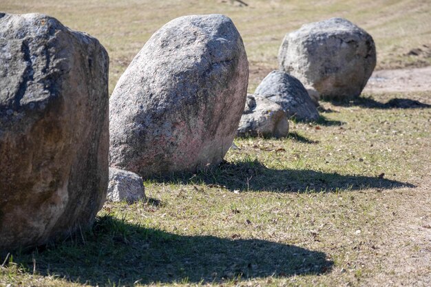 写真 草の上にある通り側の大きな岩の列