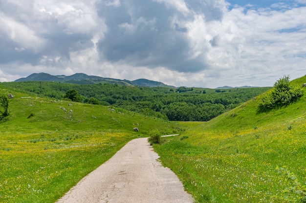 写真 田舎の狭い道が山の牧草地を通ります。