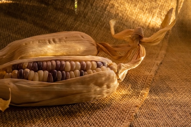 Фото Мешок вареных зерен кукурузы и початков на деревянном столе