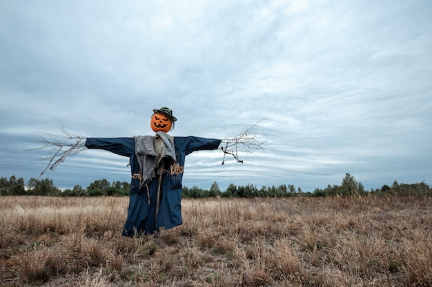 Страшное чучело с головой тыквы хеллоуина в поле в пасмурной погоде.