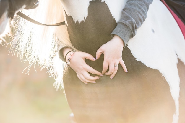 写真 女性の騎手が馬の首に手を当ててハートを作る選択的なフォーカスショット