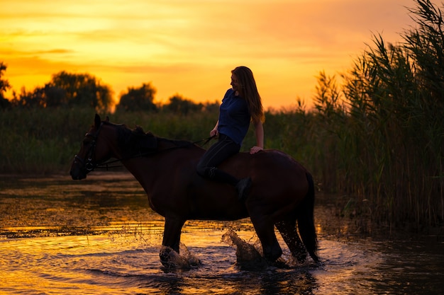 写真 馬に乗った細身の女の子は日没です。湖に馬が立っています。馬と一緒に気をつけて歩きましょう。強さと美しさ