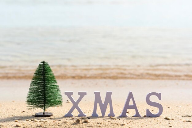 Фото Маленькая рождественская елка с буквами xmas на песчаном пляже с видом на море в солнечный день