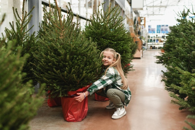 写真 小さな女の子が市場でクリスマスツリーを選びます