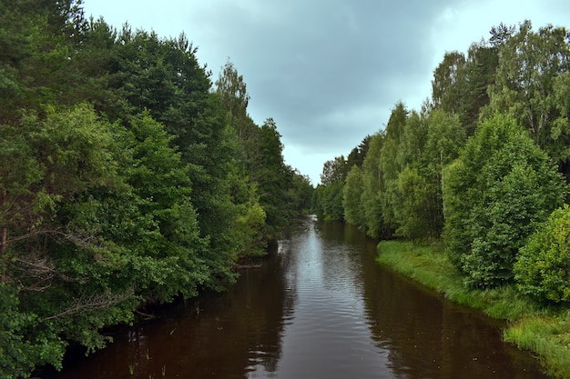 Фото Среди леса протекает речка