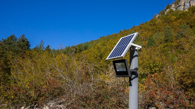 写真 再生可能エネルギーを示す森林地帯の照明装置に取り付けられた太陽光パネル