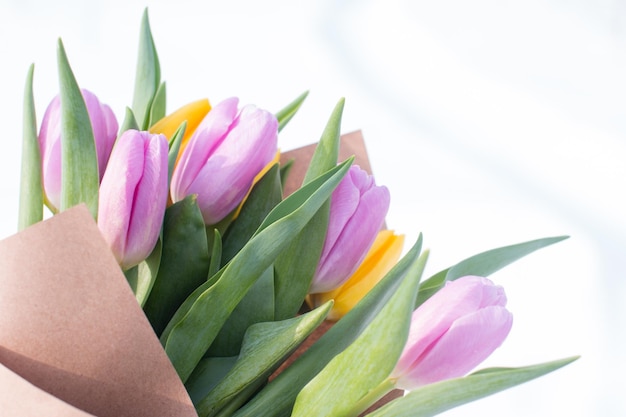 사진 눈에 인 립의 봄 꽃줄기 3월 8일 국제 여성의 날 축하 카드