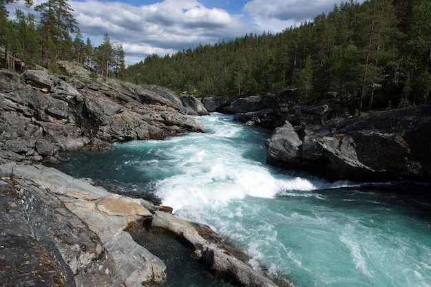 ノルウェーの岩や森、澄んだ透明な青い水の中を、騒音のある嵐の川が流れています。