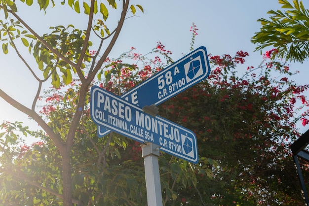 사진 유서 깊은 산 루이스와 미션 산 루이스의 거리 표지판