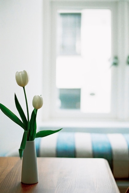 写真 白いチューリップのテーブルと花瓶、縞模様のクッションのある窓際の席