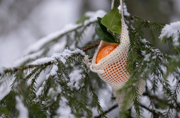 写真 冬の森のクリスマスツリーに手作りの織り網のマンダリン