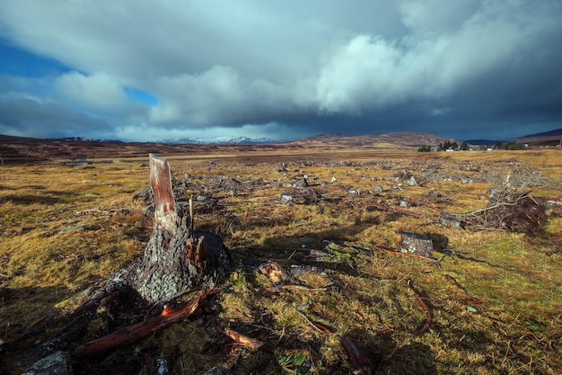 Фото Пень перед полем и горами под грозовым небом, шотландское нагорье