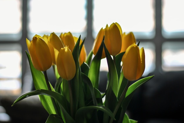 Фото Ваза с желтыми тюльпанами стоит перед окном