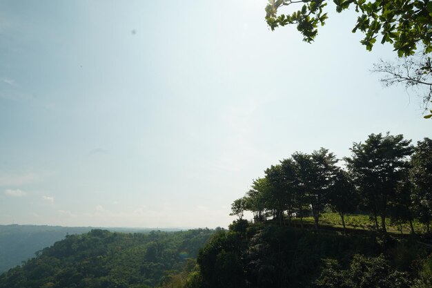 写真 丘の上から見た山並み