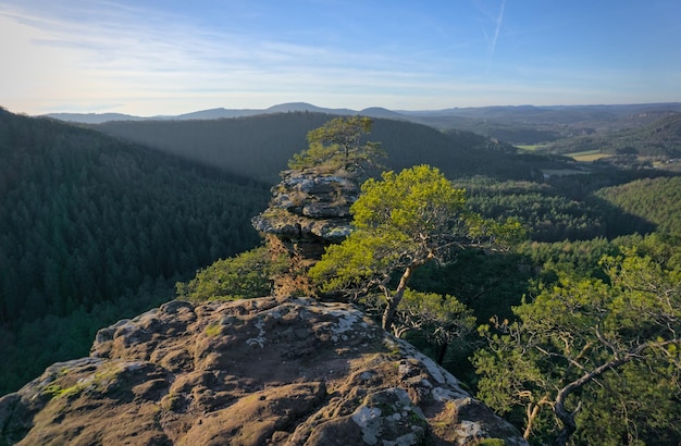 写真 パラチナート・フォレストの岩層の眺め