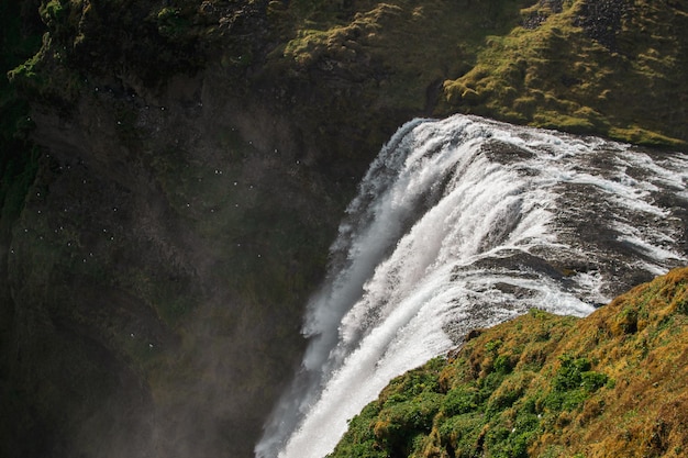 写真 緑の背景を持つ山の滝