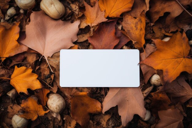 사진 가을의 흰색 카드가 거리에 나뭇잎