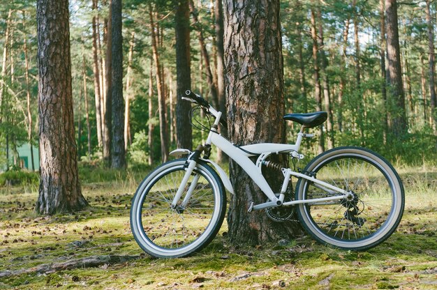 写真 白いマウンテンバイクが木の近くの森に駐車されています。自然を背景に。