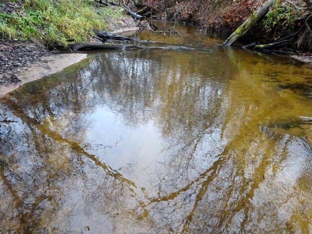 写真 倒木とたくさんの岩がある野生の小さな川。秋の小さなマス川。