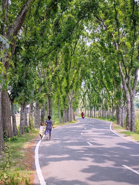 写真 樹木のある道路を歩く女性と子供