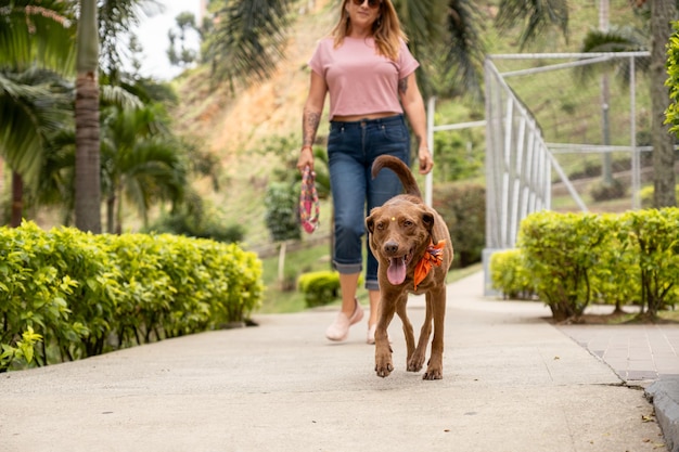 Фото Женщина, идущая за своей собакой в парке с размытым фоном