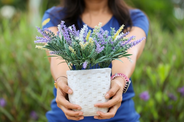 写真 植木鉢を持つ女性