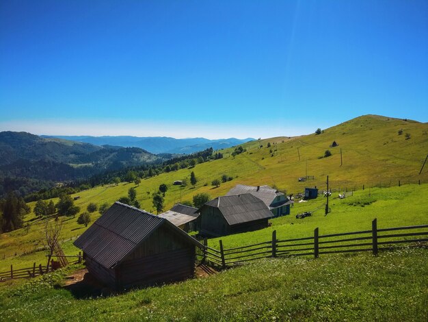 緑の美しい牧草地と山の上の木造の小屋