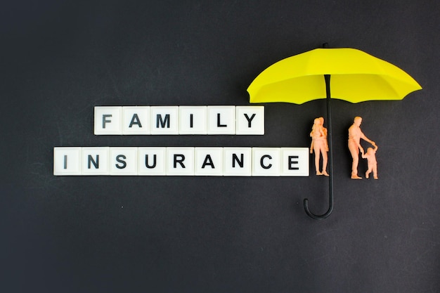사진 노란 우산과 가족 보험이라는 단어가 적힌 커플