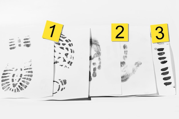 A4 sheets with various shoe and handprints Collected from the crime scene For the crime lab