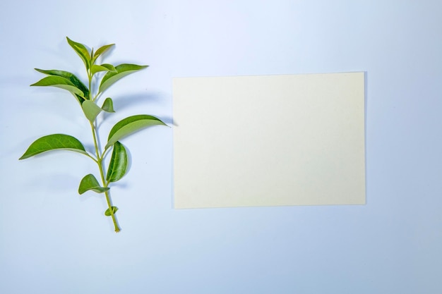 A5 paper greeting card mockup with green leaves